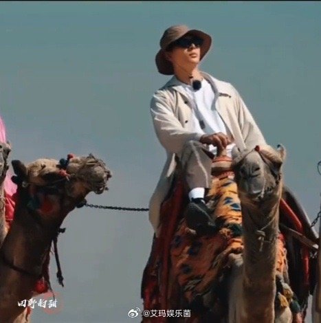 张晚意骑骆驼迷死我了张晚意沙漠骑骆驼这组太惊艳！沙丘之上他身姿舒展，漫不经心的