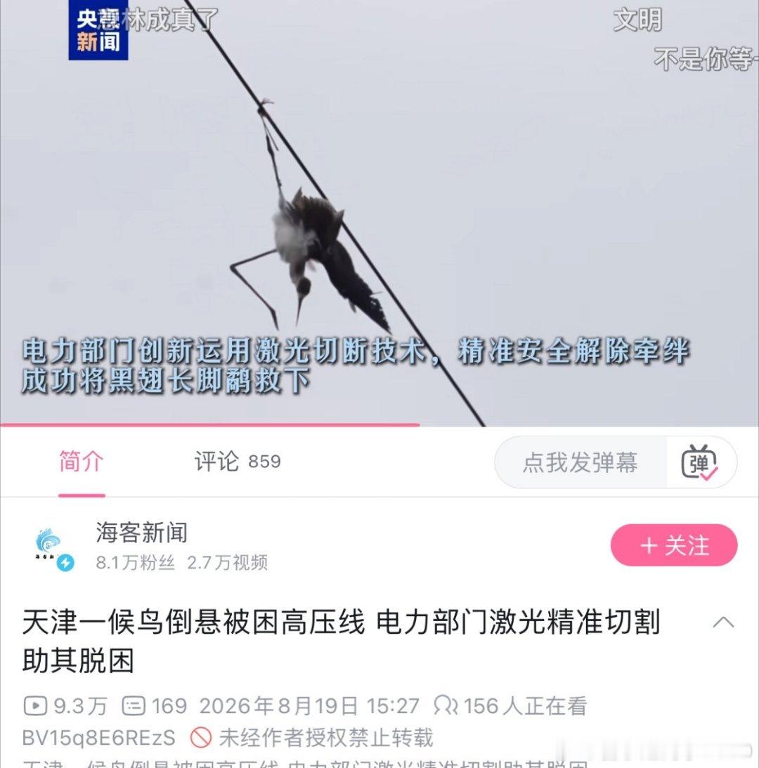 高级文明：救高压线的鸟不用停电了