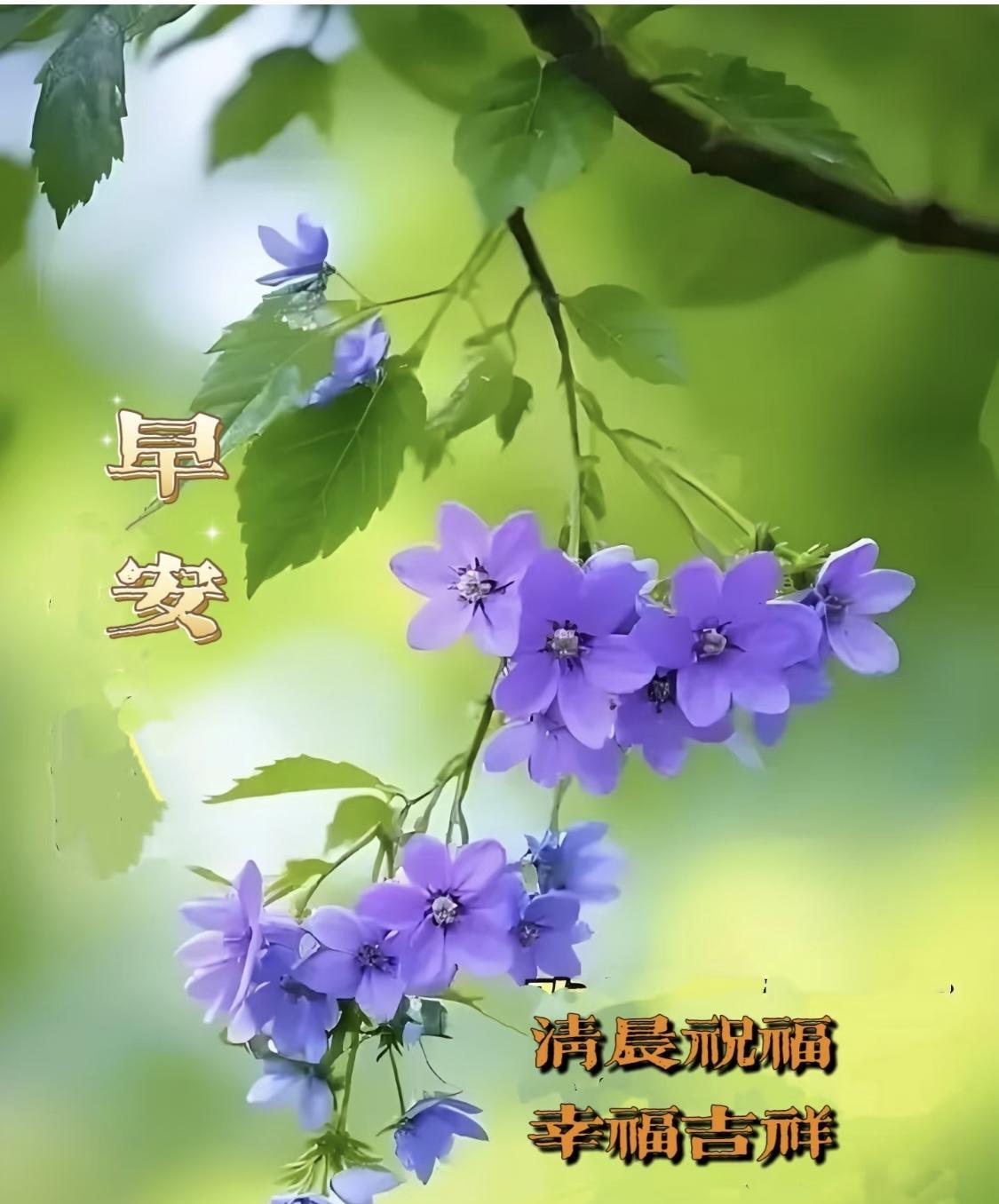 #分享早安祝福语#[玫瑰][玫瑰]晨起，有人祝福，方得一天快乐，日