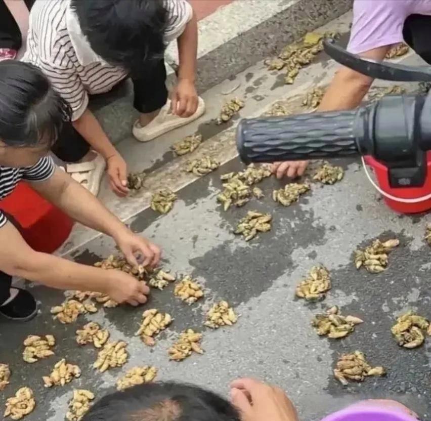 这富裕程度，让我羡慕不已