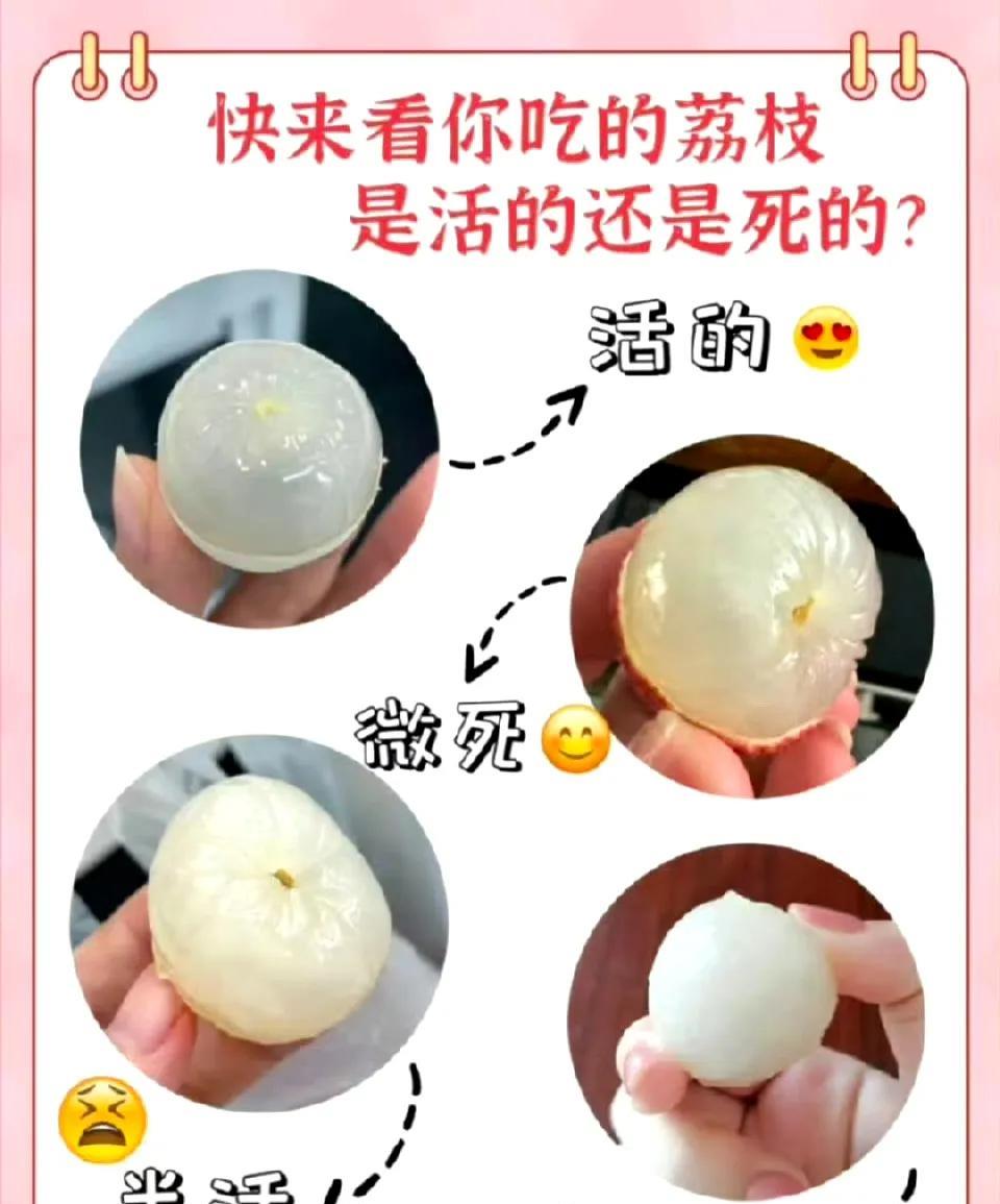 荔枝竟然还有活荔枝和死荔枝。[捂脸哭]