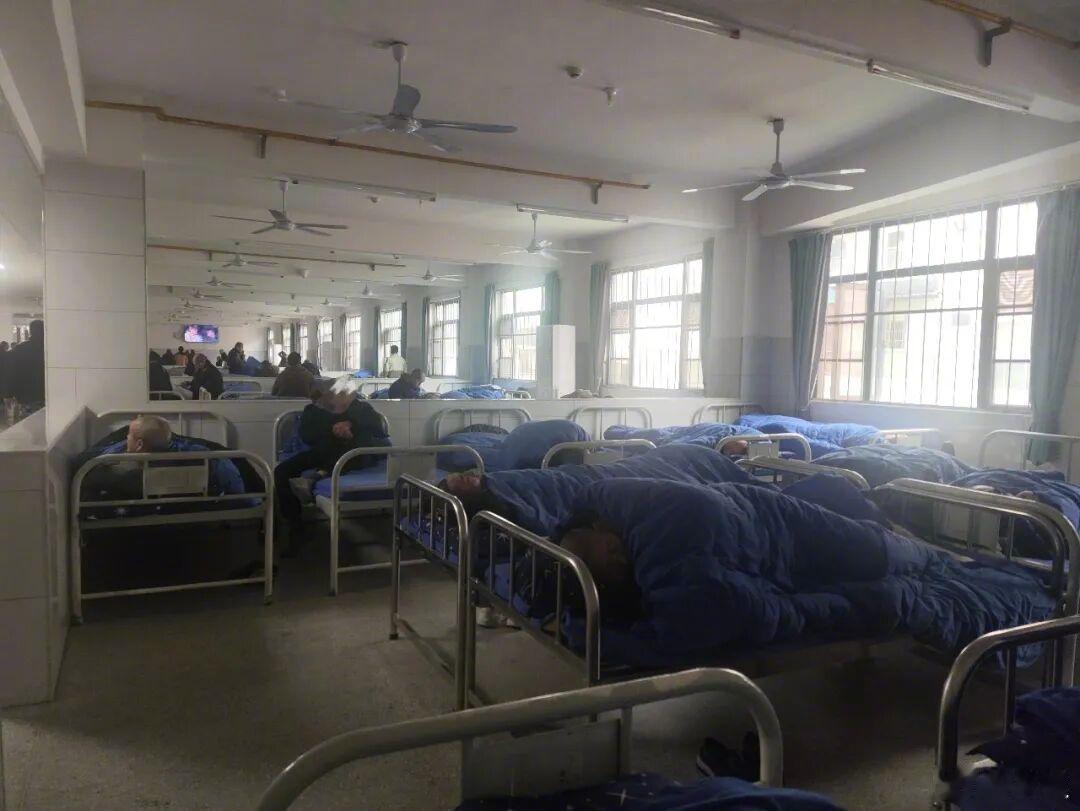 这事儿真是看得我后背发凉！原以为是“免费养老”，结果却是“活人炼狱”！说实话