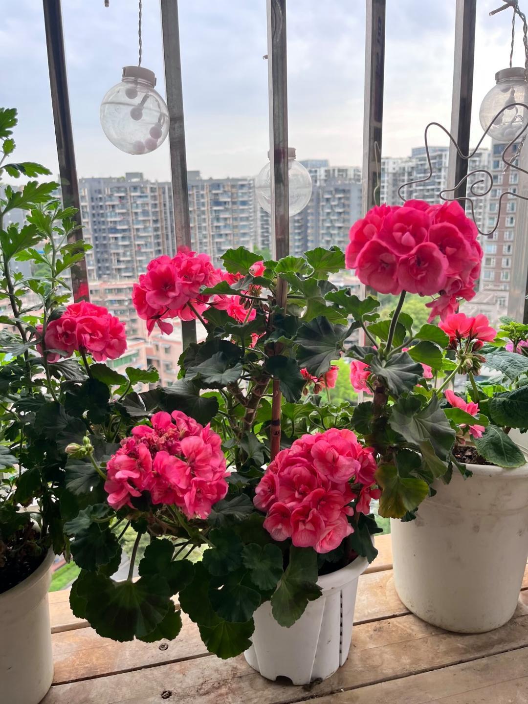 面试45岁程序员，他主动降薪求14薪，那一刻我读懂了中年人的无奈面试了一个