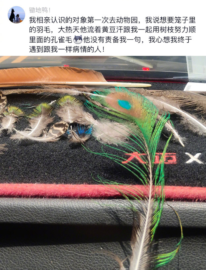 我需要这样的情绪价值。​​​