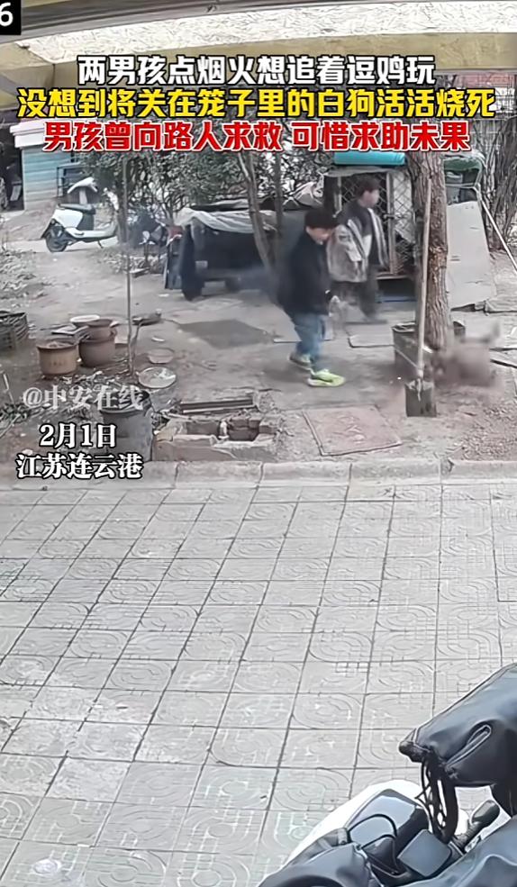 “悲剧还是发生了！”2月1日，江苏连云港，两名男孩点燃烟火，想要逗鸡玩，却不慎点