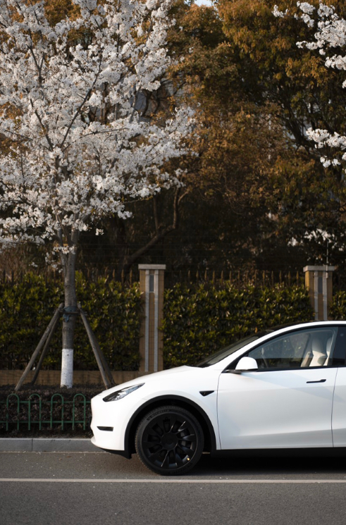 特斯拉能开十年以上吗？首先说答案肯定是可以的，我就是想开10年以上。纯电车