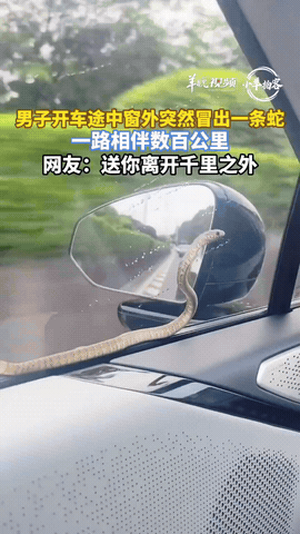 江西宜春，男子驾车出远门，途中朝车窗外瞟了一眼，竟直接吓出一身冷汗，不知什么时候