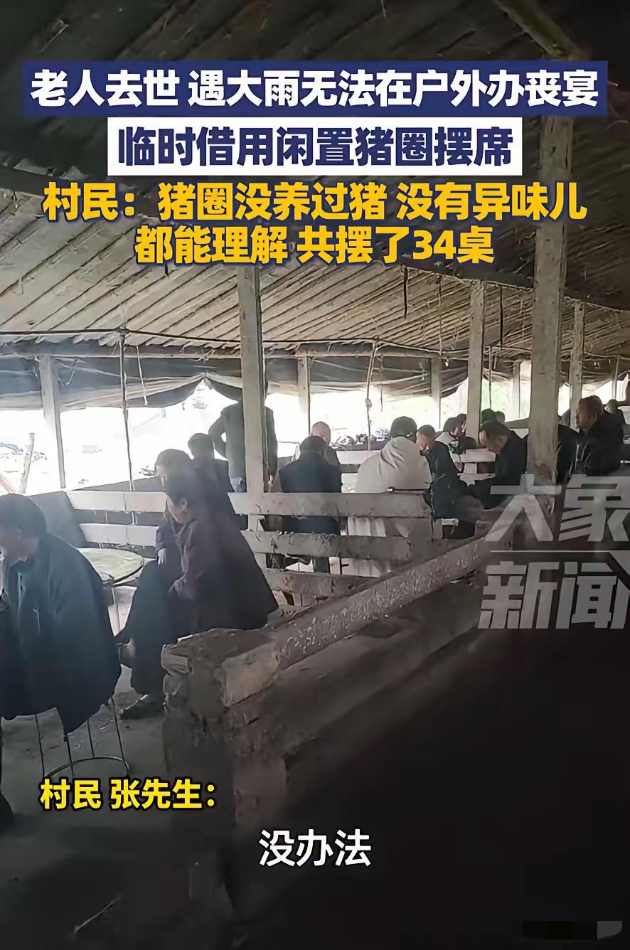 山东菏泽这场猪棚里的丧宴，比城里大酒店的排场更见真心！老人出殡遇大雨，没法在
