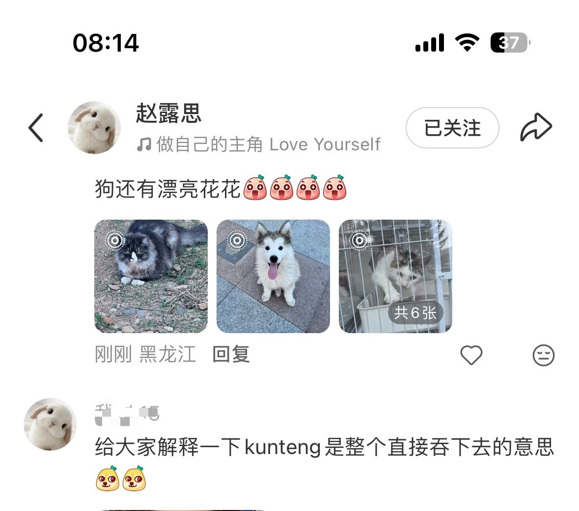 kunteng是这个意思
