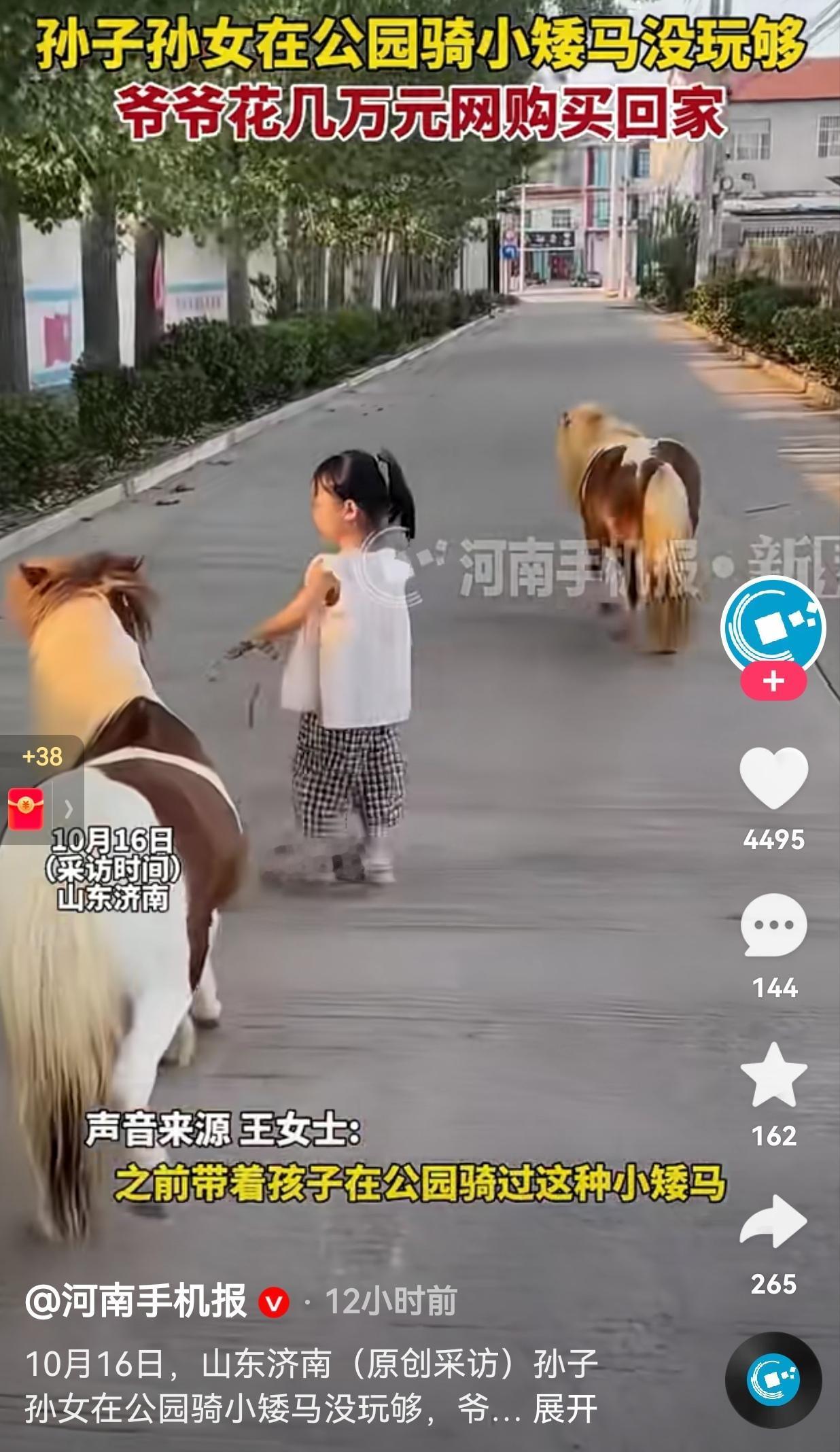 爷爷真的太大方了！孙子孙女在公园骑小矮马，骑了没几分钟，收费50块钱，关键是孩子