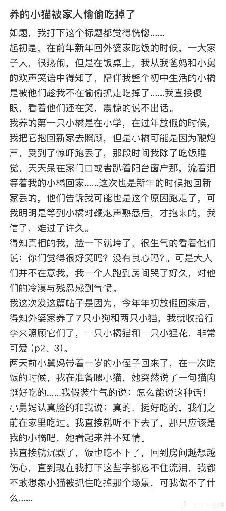 养的小猫被家人偷偷吃掉了