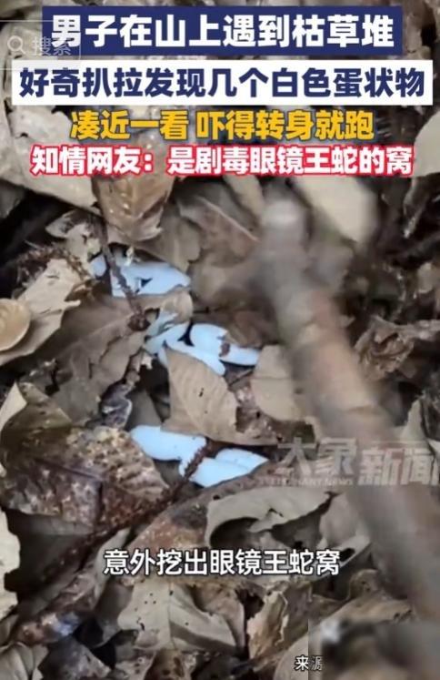 5月18日，广东野外发生惊险一幕，视频曝光后看得人头皮发麻，有个哥们在郊外溜达，