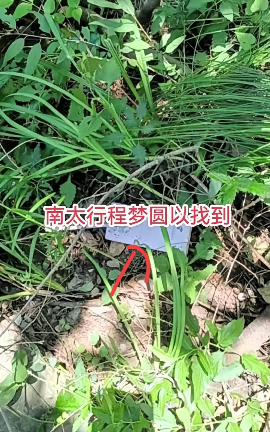 失联14天的22岁师范生程梦圆，最终等来令人心碎的结局。正值大好年华，即将走上教
