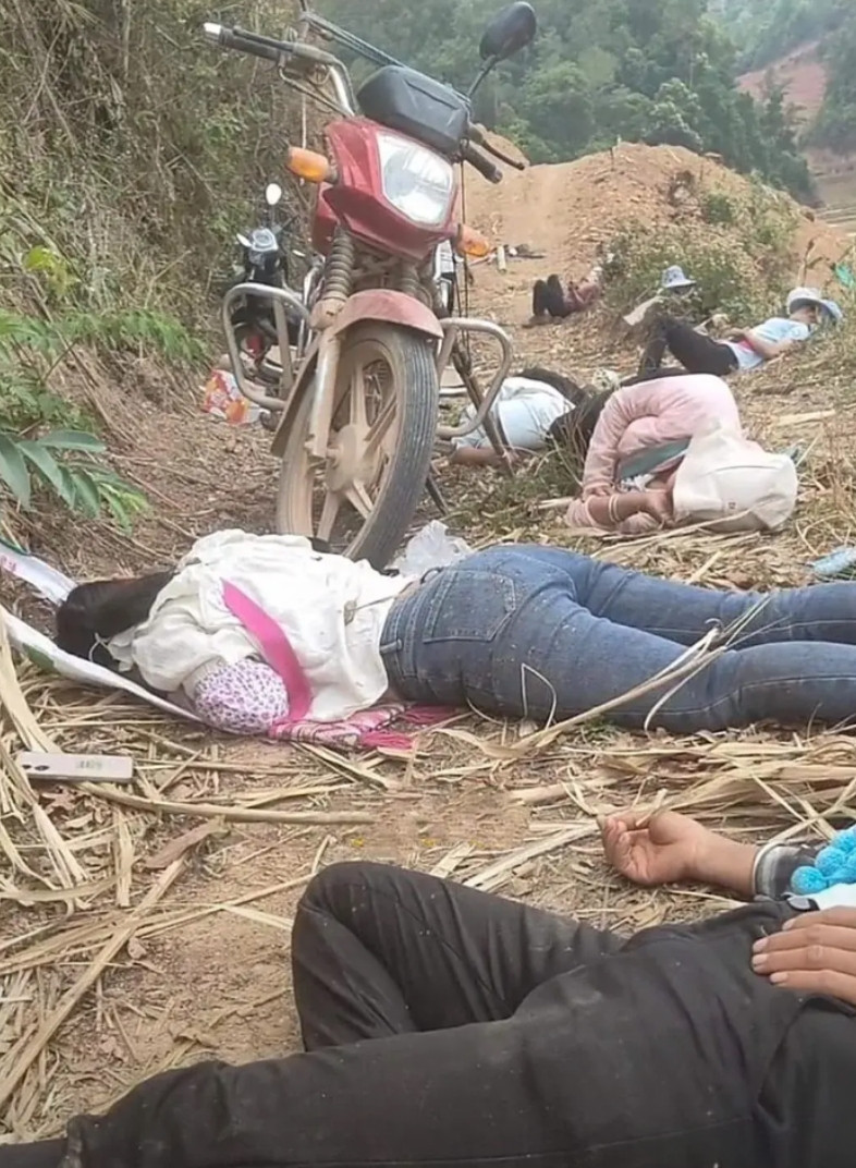 看到这场景不要害怕，更不要报警，他们只是在午休，种过地的都懂