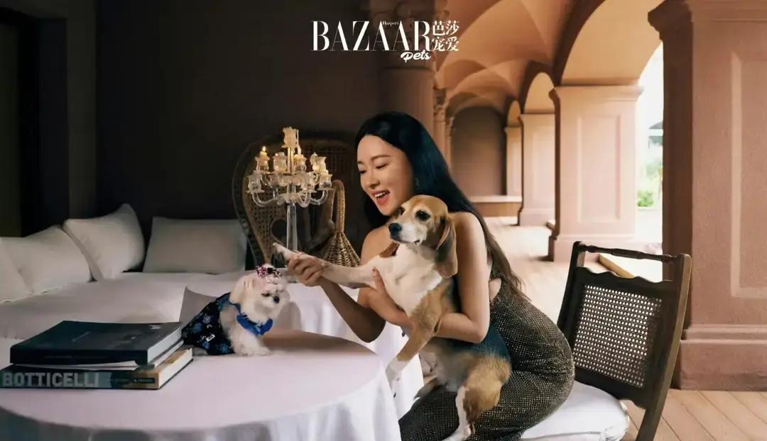 钩子句：霍思燕在家养孔雀，民政局却给她发奖。不是作秀。她家那两只田园犬，是