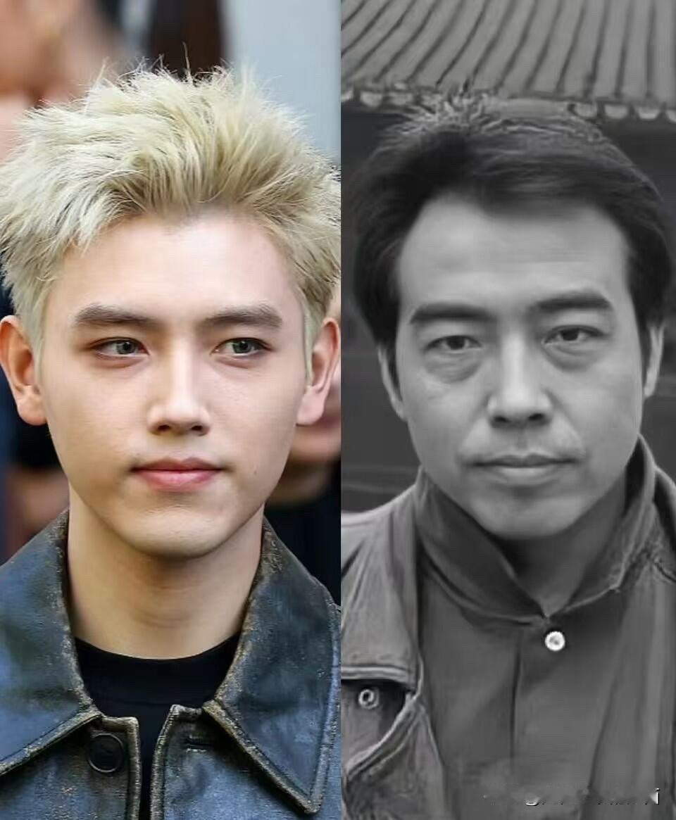 这么认真看一下陈飞宇还真的跟陈凯歌特别像，完全没有陈红的一点点影子。五官相貌平平