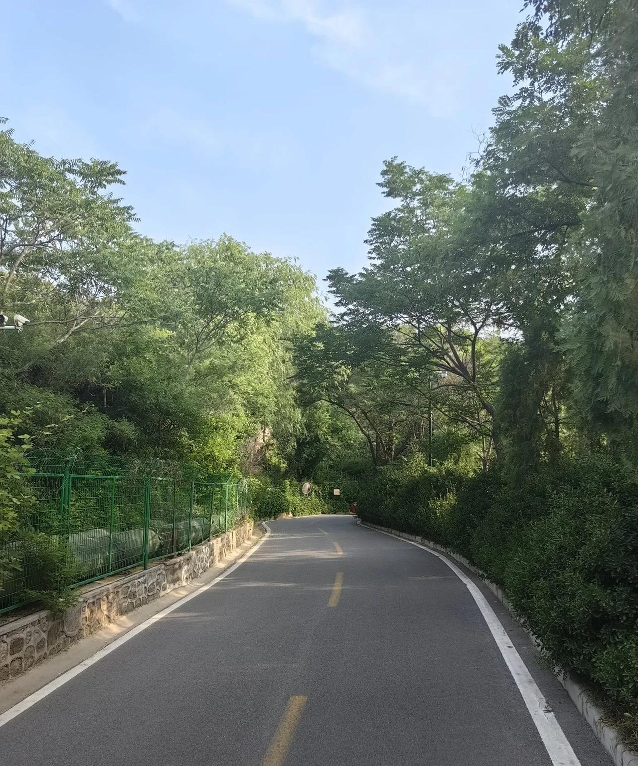 刚刚看到一篇报道，一个老太太在开放式公园的绿地上摔倒了，治疗费花了近七千元，家属