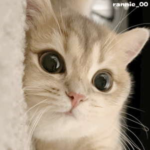 全国新手妈妈统一的夜晚状态别人以为夜里能休息，只有自己知道，整晚都在为宝宝操心