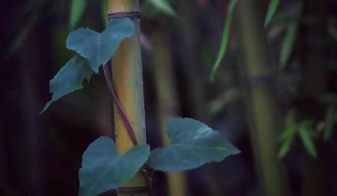 你人生最好的“贵人”，是你自己你，是不是也这样？在人生的“低谷”里，总渴