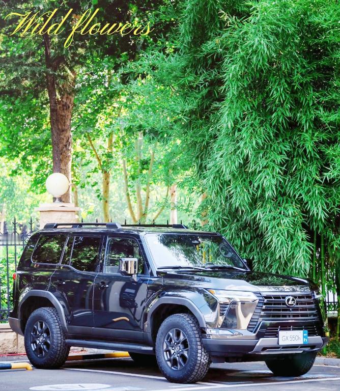 雷克萨斯GX550h这车，上市静悄悄，连个响屁都没放。指导价77万8到89万9