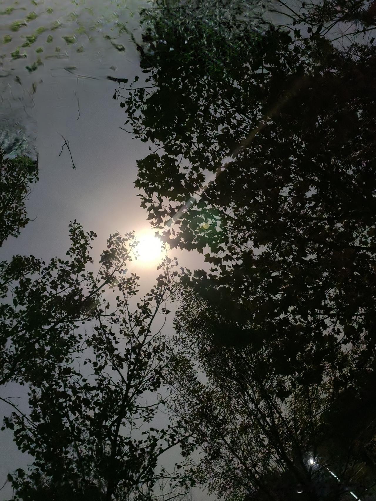 21岁小伙200个深蹲“炼”出酱油尿！医生敲警钟：别让“自律”毁了你的健康