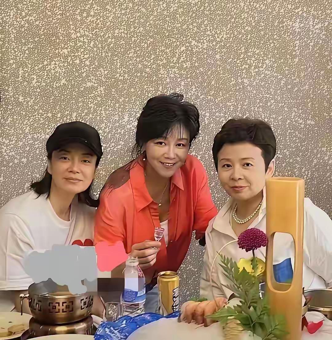 毛阿敏苏红董文华2025年合影[玫瑰]