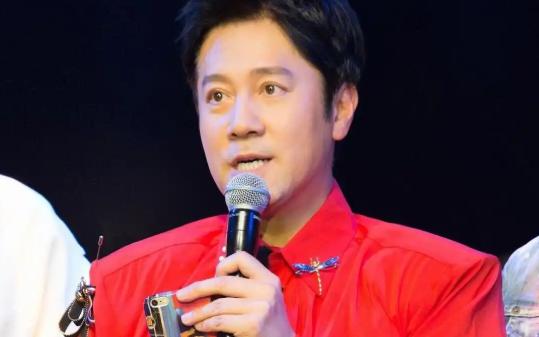 一次节目中，蔡国庆说：“刘德华唱歌水平一般，和我根本没法比，就凭我和刘欢的嗓音，