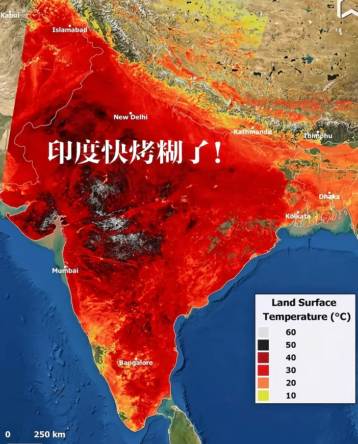 真的被印度这波高温狠狠震撼到了！气温快50℃就算了，连自来水都烫到51℃，根本没