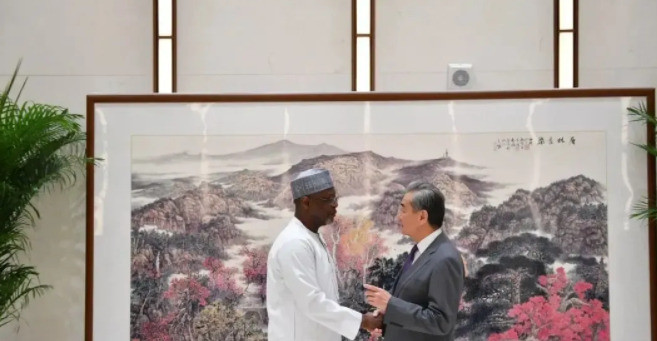 尼日尔又闹事，上门求中国原谅---天呐！简直不敢相信，尼