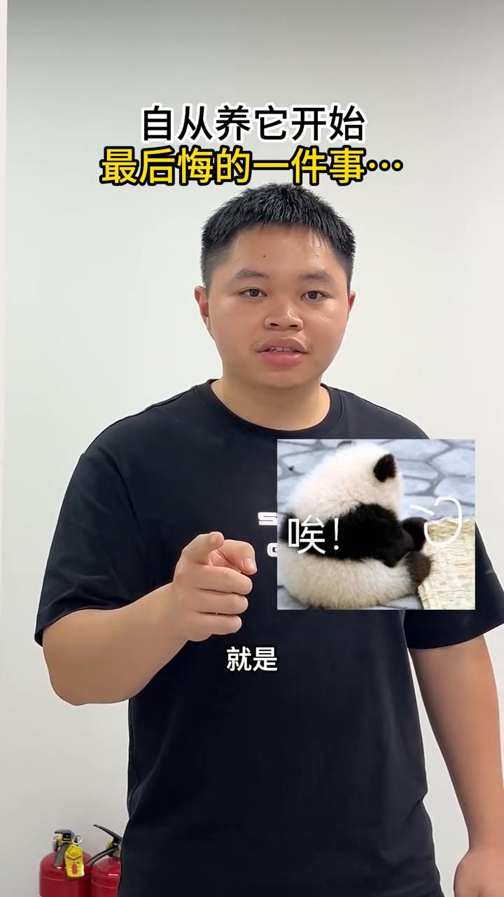 自从养它开始，最后悔的一件事。养狗后，我最后悔的一件事就是：小妮，过来。最后悔