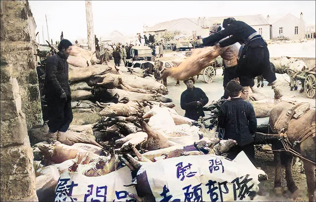 这张照片非常有代表性地记录了中国人民在抗美援朝战争时期支援前线的情景。画面中可以