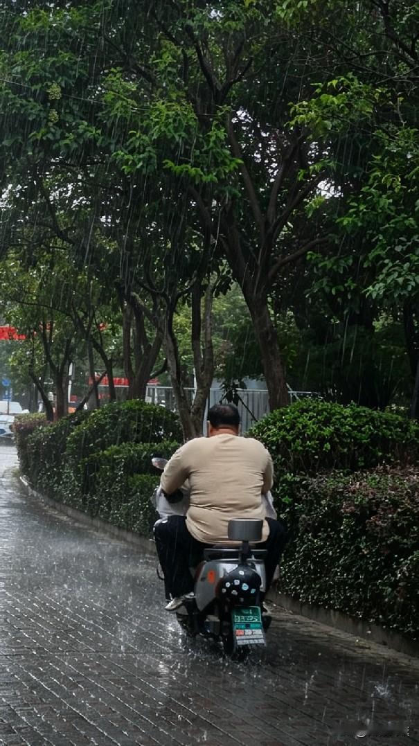 这两天南京的天气完全是开了随机切换模式，中午走在新街口街头，太阳底下站五分钟直接