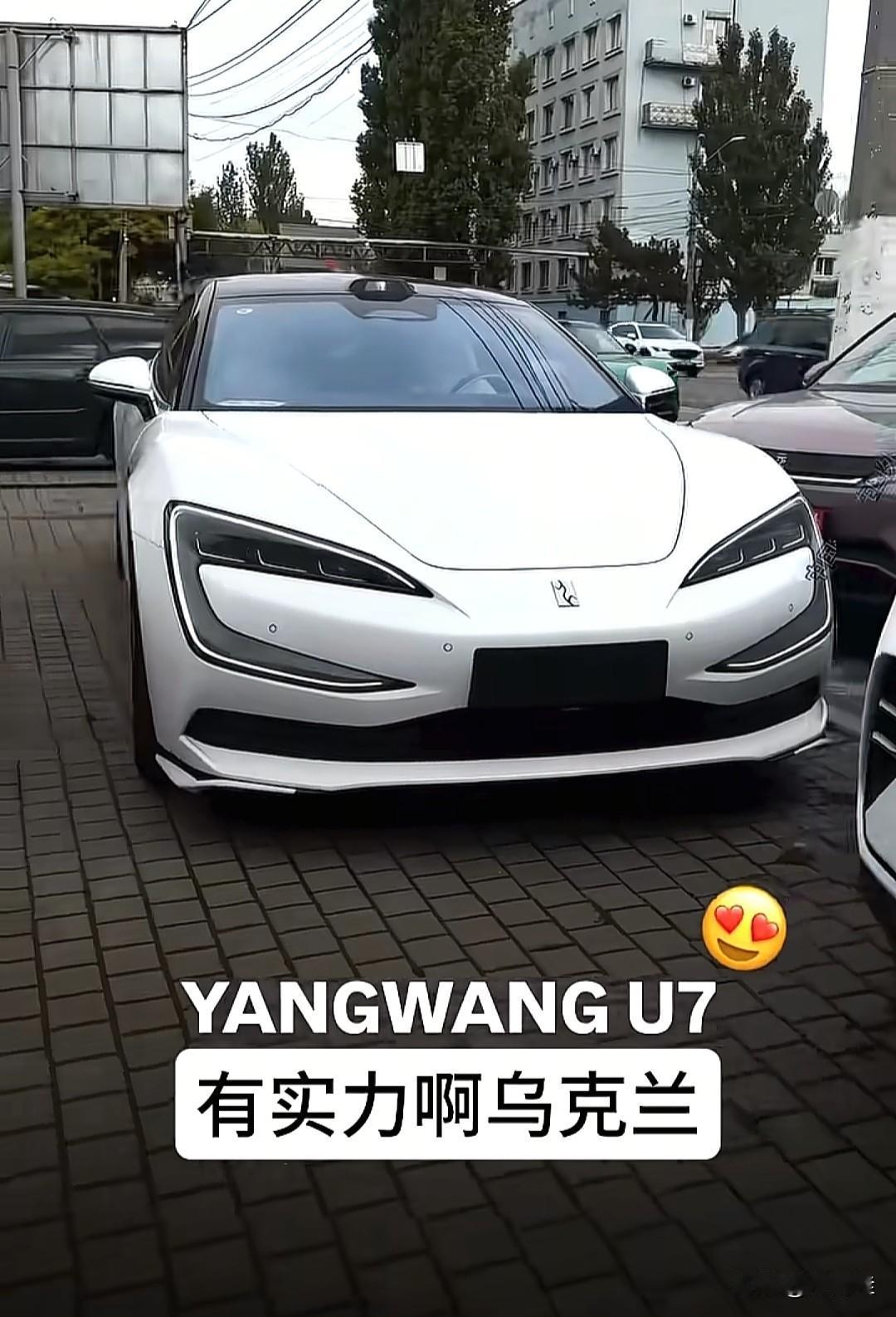 俄乌战争结束了嘛，有实力的乌克兰人买的进口豪车，仰望U7到了。国内卖六七万的仰望