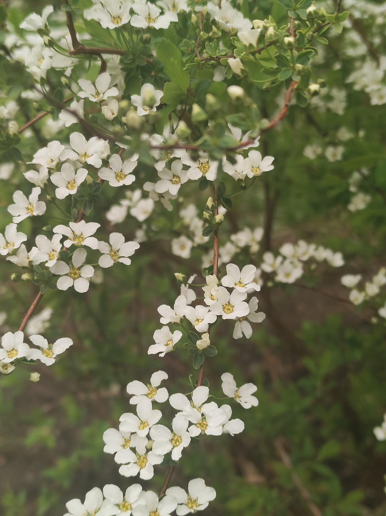 别等岁月走远，才懂珍惜当下总有人问：人生最该悟透的道理是什么？其实答案，都