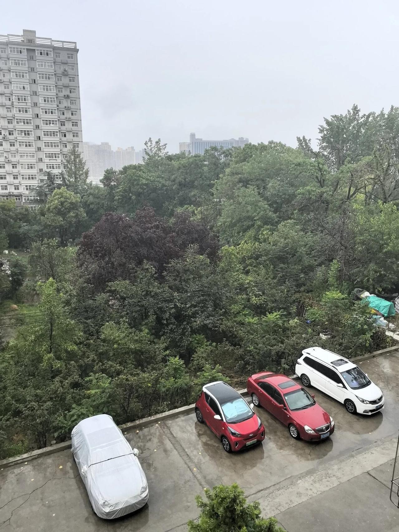 天老爷，你终于醒了下雨🌧了。今天这个夏天你可热惨了关中大地，平原地带热的都快熟