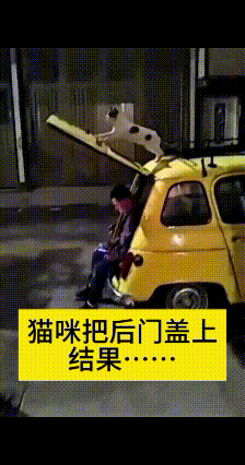 哎呀妈呀老铁！这也太逗了，看完，我眼泪都出来了，大哥低头玩手机入迷了，压根没瞅