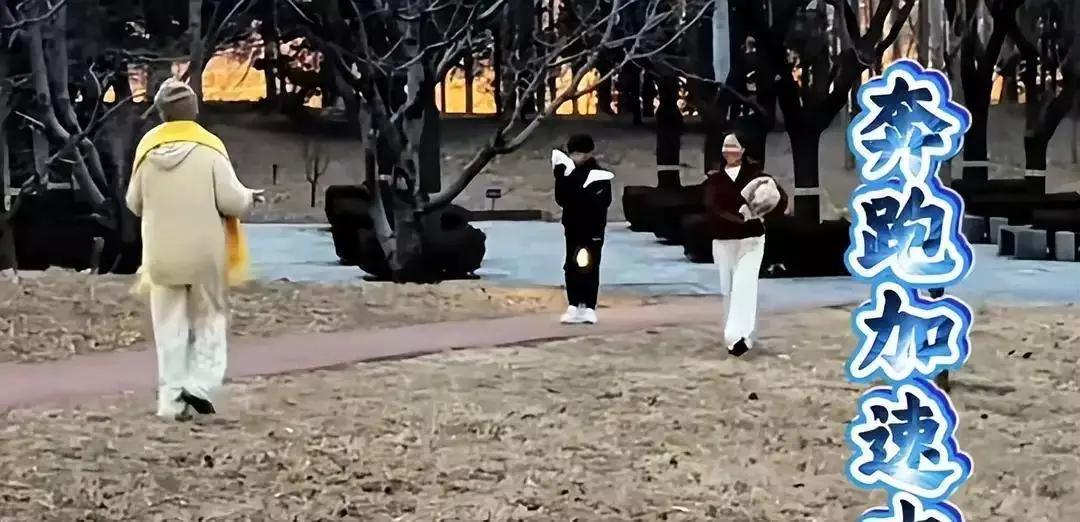 围绕“大S忌日将近，张兰接孙回京引争议”这一核心，结合最新行程细节与网友两极评价