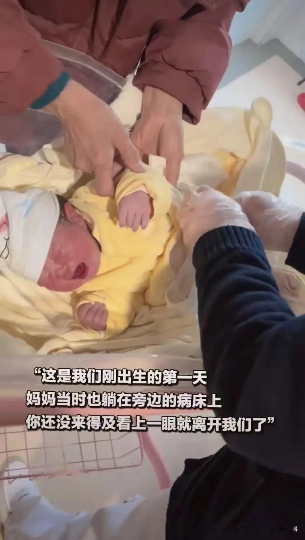 催泪完整事件叙述+走心评析事件经过湖南这名男宝名叫园宝，2025年2