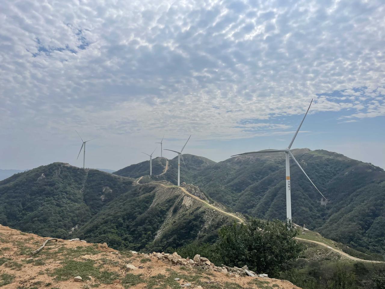 和一个律师朋友聊到这个事，平顶山打人事件基本定性了，大概率实刑、从重判！先看