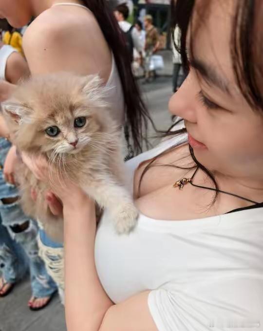 遇见温柔小姐姐，她轻语请求：“摸摸我的猫吧。”软萌小猫，治愈系瞬间，让人心头一暖