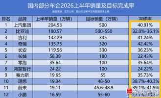 看了下上半年汽车国内的销量，多数车企仅完成30%-42%目标！下半年压力非常大啊