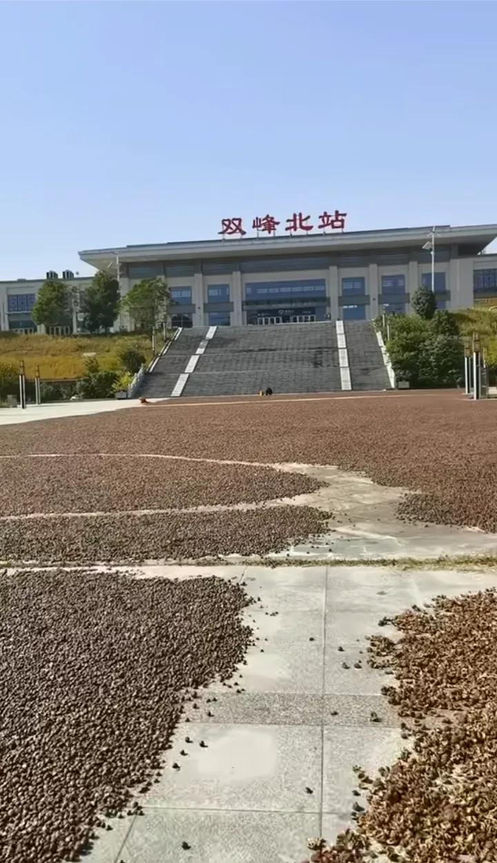 湖南双峰北站2台7线站房面积近5000平方米，多趟高铁可以直达娄底和邵阳还有长沙