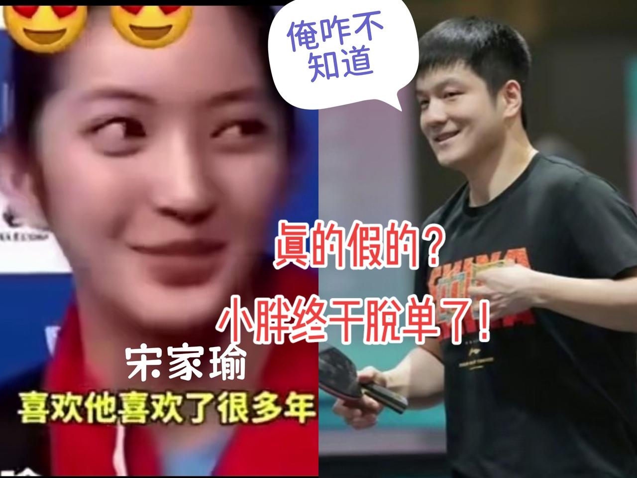 万万没想到！也太可爱了吧有点意思看一次笑一次樊振东