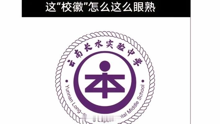刚才刷到云南某实验中学的校徽，忽然觉得这校徽真的在明目张胆地昭告天下，这可能是日