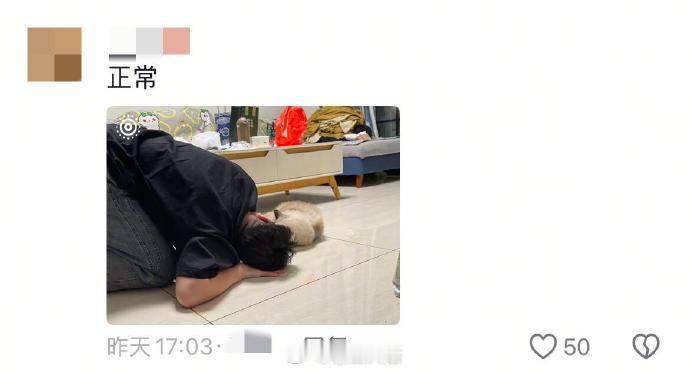 当家里有只猫但同事来了