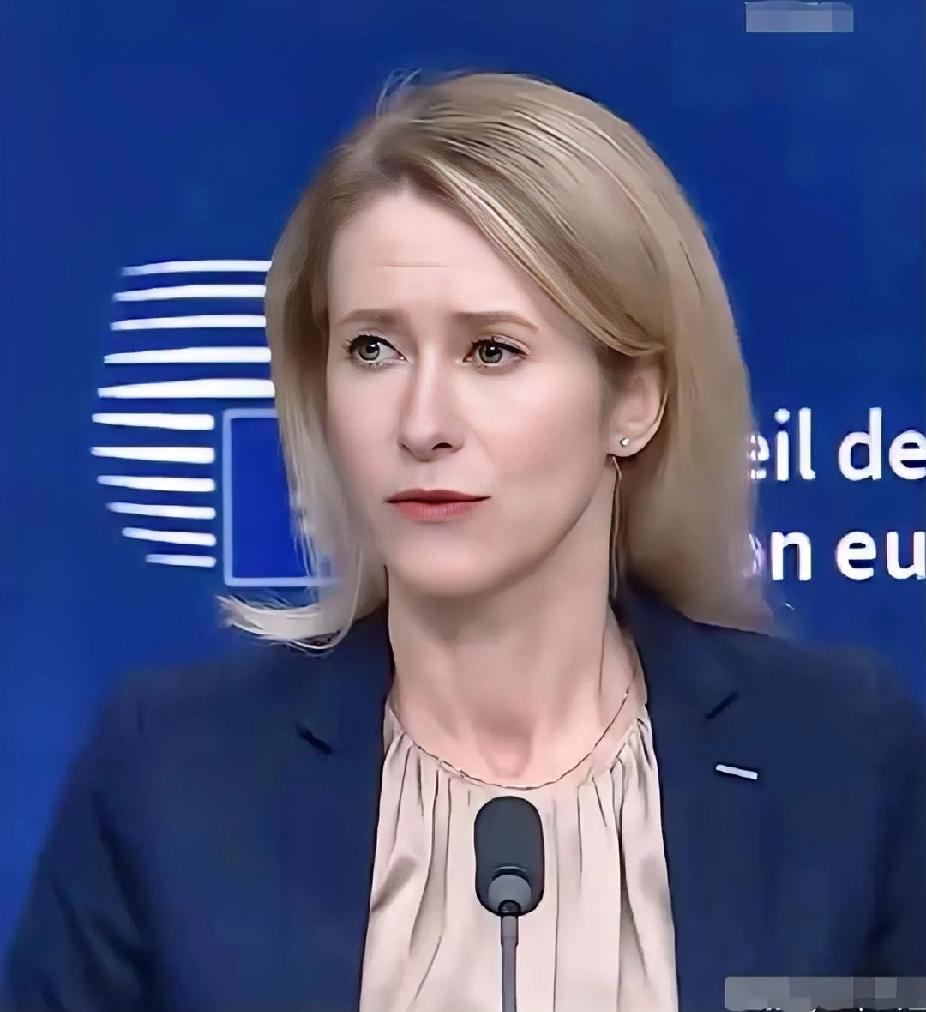 中美俄罕见同仇敌忾！只为"干掉"她？欧盟外长如何惹怒全世界？近日，一个耐人