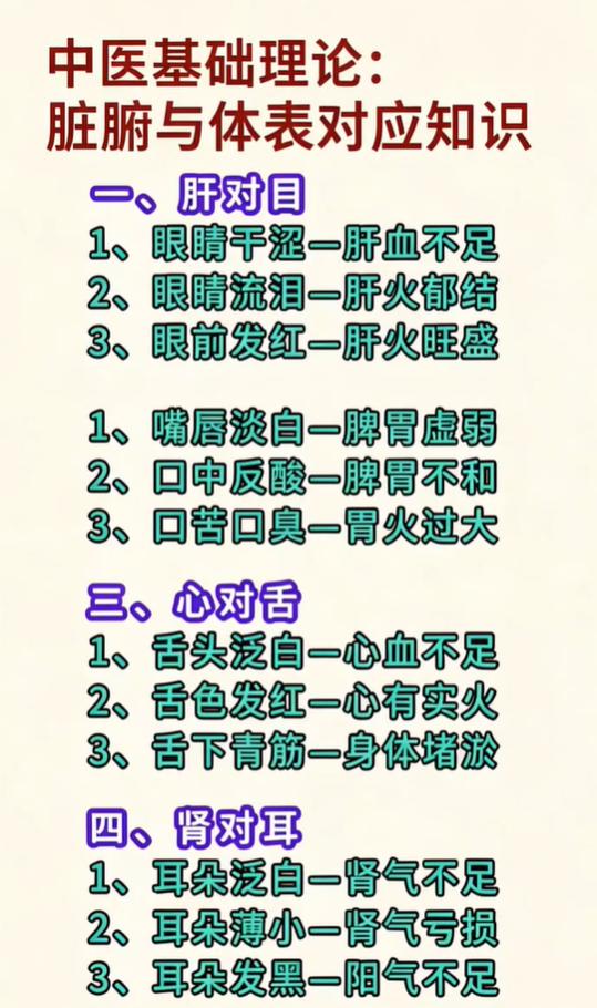 肝对应目、心对应舌：浅谈脏腑在体表的反映特点