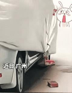 这风刮得太不正经了！