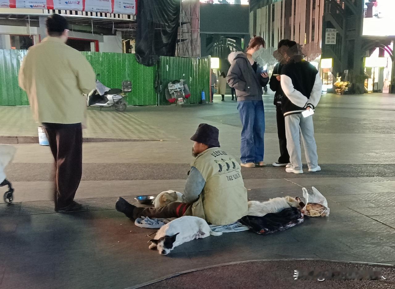 这位老哥挺富有至少还有三条不离不弃相依相伴的狗狗这画面太温馨太感人