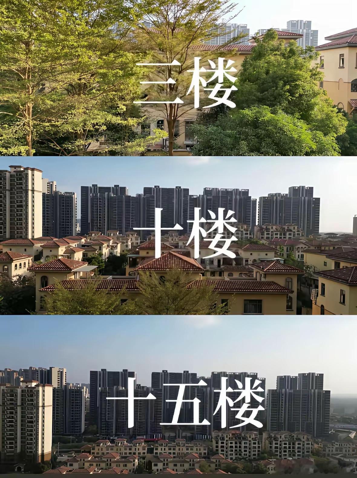 买房子肯定要看楼层，但看的不是数字风行，而且不同的楼层带来的视野与格局。
